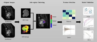 Habitat-based radiomics enhances the ability to predict lymphovascular space invasion in cervical cancer: a multi-center study